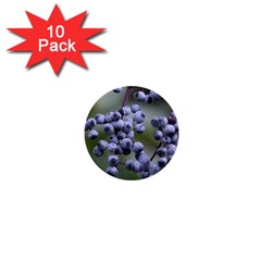 Blueberries 2 1  Mini Buttons (10 Pack)  by trendistuff