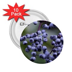 Blueberries 2 2 25  Buttons (10 Pack)  by trendistuff