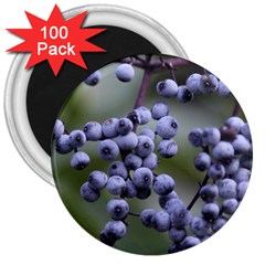 Blueberries 2 3  Magnets (100 Pack) by trendistuff