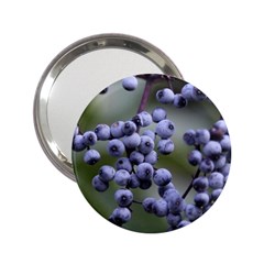 Blueberries 2 2 25  Handbag Mirrors by trendistuff