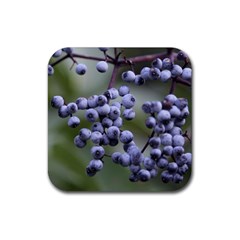 Blueberries 2 Rubber Coaster (square)  by trendistuff