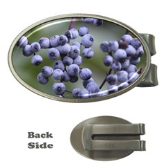 Blueberries 2 Money Clips (oval)  by trendistuff