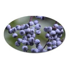 Blueberries 2 Oval Magnet by trendistuff