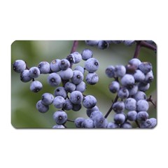 Blueberries 2 Magnet (rectangular) by trendistuff