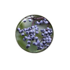 Blueberries 2 Hat Clip Ball Marker by trendistuff