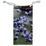 BLUEBERRIES 2 Jewelry Bag Back