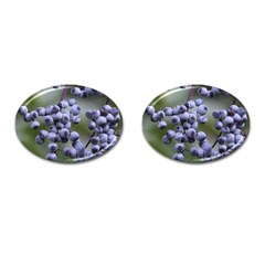 Blueberries 2 Cufflinks (oval) by trendistuff