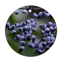 Blueberries 2 Round Ornament (two Sides) by trendistuff