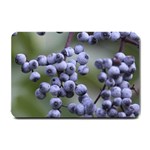 BLUEBERRIES 2 Small Doormat  24 x16  Door Mat