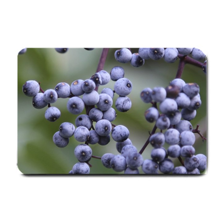 BLUEBERRIES 2 Small Doormat 