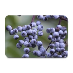 Blueberries 2 Plate Mats by trendistuff