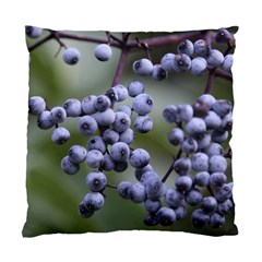 Blueberries 2 Standard Cushion Case (one Side) by trendistuff