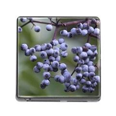 Blueberries 2 Memory Card Reader (square) by trendistuff