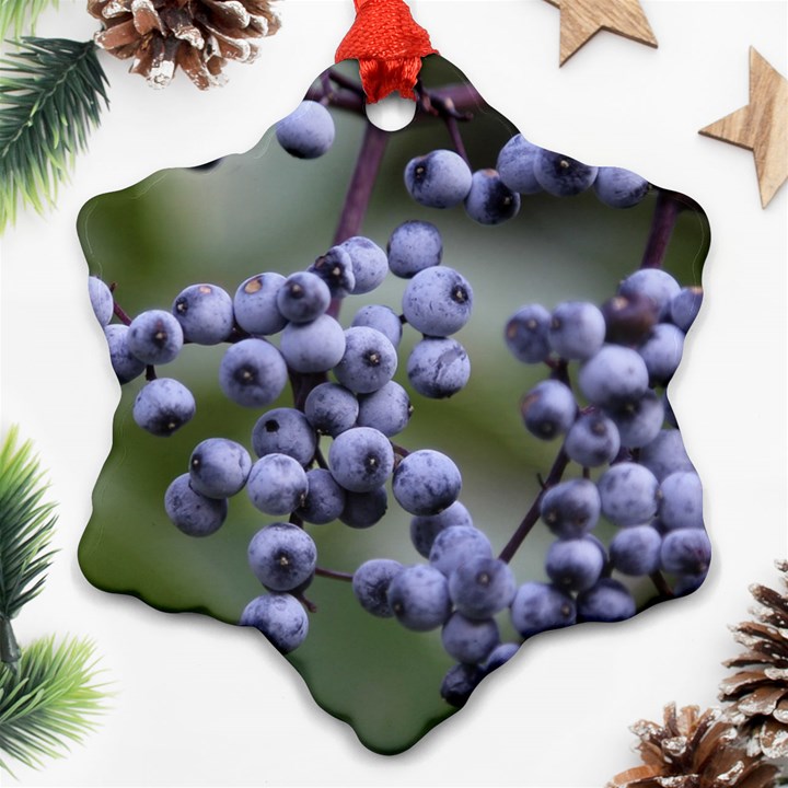 BLUEBERRIES 2 Ornament (Snowflake)