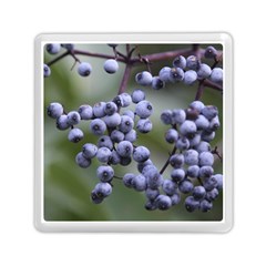 Blueberries 2 Memory Card Reader (square)  by trendistuff