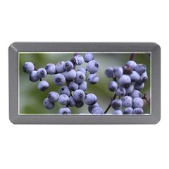 Blueberries 2 Memory Card Reader (mini) by trendistuff