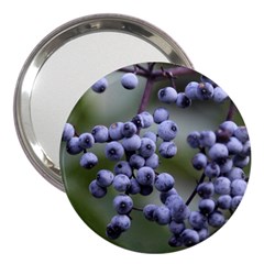 Blueberries 2 3  Handbag Mirrors by trendistuff