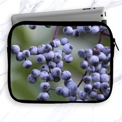 Blueberries 2 Apple Ipad 2/3/4 Zipper Cases by trendistuff