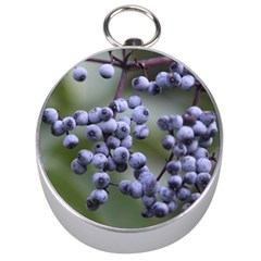 Blueberries 2 Silver Compasses by trendistuff