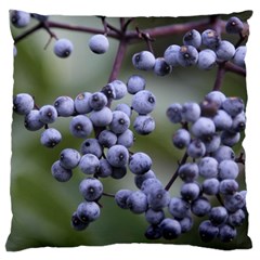 Blueberries 2 Standard Flano Cushion Case (two Sides) by trendistuff