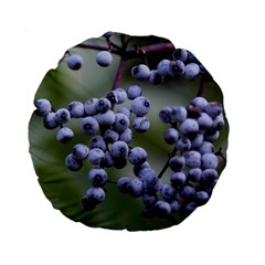 Blueberries 2 Standard 15  Premium Flano Round Cushions by trendistuff