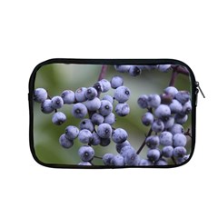 Blueberries 2 Apple Macbook Pro 13  Zipper Case by trendistuff