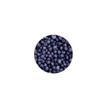 BLUEBERRIES 3 1  Mini Buttons