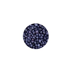 Blueberries 3 1  Mini Magnets by trendistuff