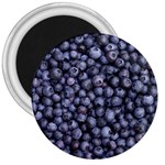 BLUEBERRIES 3 3  Magnets