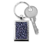 BLUEBERRIES 3 Key Chains (Rectangle) 