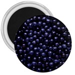 BLUEBERRIES 4 3  Magnets