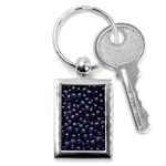 BLUEBERRIES 4 Key Chains (Rectangle) 