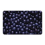 BLUEBERRIES 4 Magnet (Rectangular)