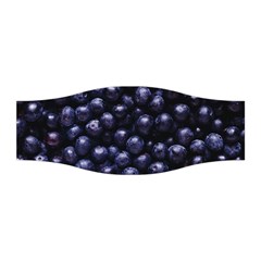 Blueberries 4 Stretchable Headband