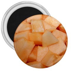 Cantaloupe 3  Magnets by trendistuff