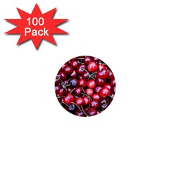 Cherries 1 1  Mini Magnets (100 Pack)  by trendistuff