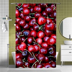 Cherries 1 Shower Curtain 48  X 72  (small)  by trendistuff