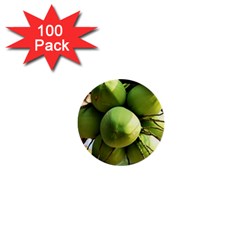 Coconuts 1 1  Mini Buttons (100 Pack)  by trendistuff