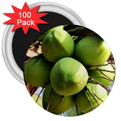 Coconuts 1 3  Magnets (100 Pack) by trendistuff