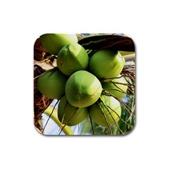 Coconuts 1 Rubber Square Coaster (4 Pack)  by trendistuff