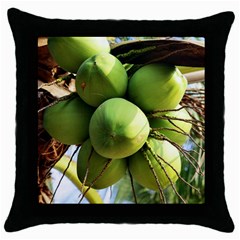 Coconuts 1 Throw Pillow Case (black) by trendistuff