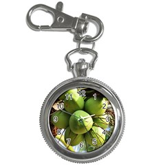 Coconuts 1 Key Chain Watches by trendistuff