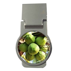 Coconuts 1 Money Clips (round)  by trendistuff