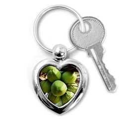 Coconuts 1 Key Chains (heart)  by trendistuff