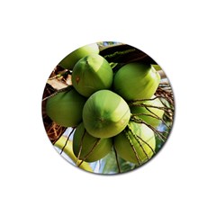 Coconuts 1 Rubber Coaster (round)  by trendistuff