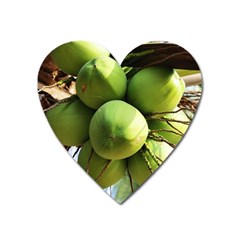 Coconuts 1 Heart Magnet by trendistuff