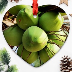 Coconuts 1 Heart Ornament (two Sides) by trendistuff