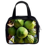 COCONUTS 1 Classic Handbags (2 Sides) Front