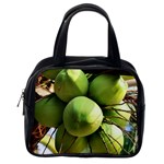 COCONUTS 1 Classic Handbags (2 Sides) Back