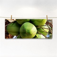 Coconuts 1 Cosmetic Storage Cases by trendistuff